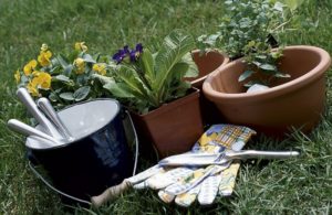 Organic Gardening Supplies