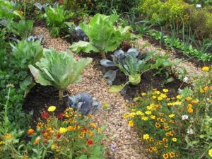PH level in organic gardening