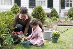 The procedure for starting an organic garden The procedure for starting an organic garden