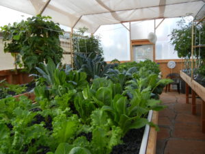 Using aquaponics in organic gardening