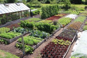 What Is Organic Horticulture Compost