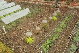 elements of organic gardening
